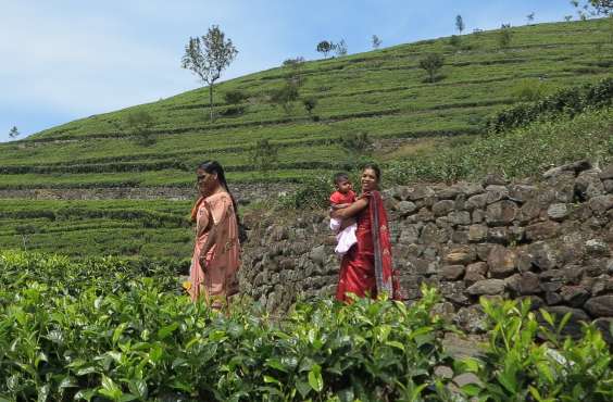 Srí Lanka